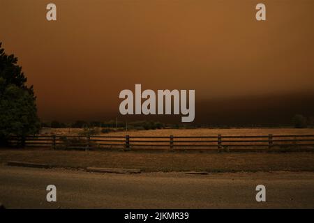 Ein schöner Blick auf eine Straße neben dem Weizenfeld bei Sonnenuntergang Stockfoto