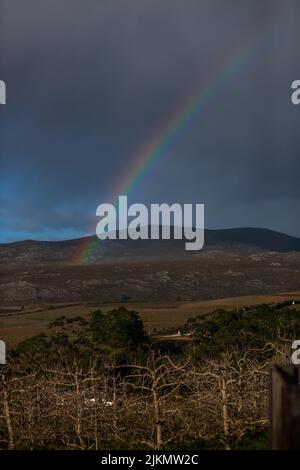 Eine vertikale Aufnahme eines Regenbogens in einem düsteren Himmel über einer Landschaft Stockfoto