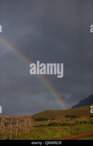 Eine vertikale Aufnahme eines Regenbogens in einem düsteren Himmel über einer Landschaft Stockfoto