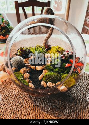 Schönes Terrarium mit Sukkulenten, Kaktus, Blume, Stein, Sand innen