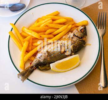 Gebratener mediterraner Fisch Sarpa Stockfoto