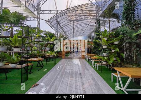 Taman Bunga Celosia Park, Bandungan, Semarang, Indonesien Stockfoto