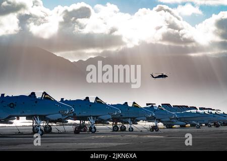 Mehr als 200 Luftwaffe und 10 A-10 Thunderbolt II Wardogs der 924. Fighter Group des 944. Fighter Wings arbeiten während der Teilnahme der Einheit an Rim of the Pacific (RIMPAC) 2022 von der Marine Corps Base Hawaii aus, 27. Juli 2022. 26 Nationen, 38 Schiffe, drei U-Boote, mehr als 170 Flugzeuge und 25.000 Mitarbeiter nehmen vom 29. Juni bis zum 4. August an RIMPAC in und um die Hawaii-Inseln und Südkalifornien Teil. RIMPAC, die weltweit größte internationale maritime Übung, bietet eine einzigartige Ausbildungsmöglichkeit und fördert und pflegt kooperative Beziehungen Stockfoto