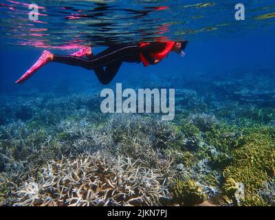Indonesia Anambas Islands - Frauen schnorcheln im Korallenriff Stockfoto
