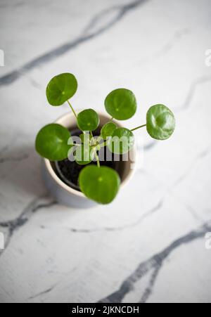 Ein Blick von oben auf die chinesische Geldanlage auf einem Boden oder Tisch mit Marmorstruktur Stockfoto
