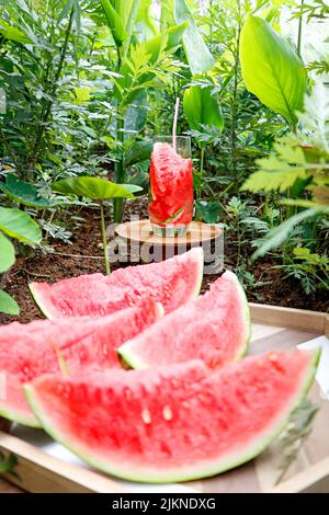 Eine Nahaufnahme von in Scheiben geschnittenen Wassermelonen und einem Glas erfrischenden Wassermelonendrinks im Garten Stockfoto
