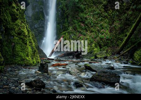 Goldstream Provincial Park, Victoria, BC, Kanada Stockfoto