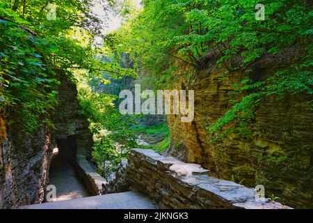 Ein felsiger Fußweg zwischen steilen Klippen, umgeben von glühenden Pflanzen im Watkins Glen State Park Stockfoto