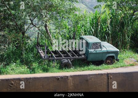 Ein verlassene alte LKW auf dem Gras mit Bäumen Stockfoto