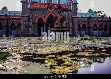 Stock Foto von schönen alten Brunnen in der Mitte des Teiches, Lotusknospen und Lotusblätter schwimmen auf dem Wasser Bild im Rathaus Mus aufgenommen Stockfoto