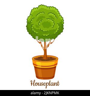 Topfpflanze, dekorativer Gartenbaum in Blumentopf-Ikone. Home Gartenarbeit, wachsen Busch Sämling innen. Exotische botanische Pflanze im Hauszimmer. Vektor Stock Vektor