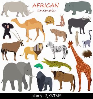 Sammlung afrikanischer Tiere im minimalistischen Stil. Stock Vektor
