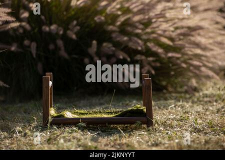 Neugeborener digitaler Hintergrund - Holzbett mit grüner Strickdecke auf grünem Gras mit Büschen, Sitzungssitzung Hintergrund. Stockfoto