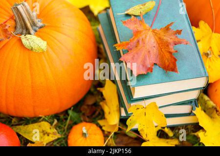 Zurück zur Schule.Studien- und Bildungskonzept.Herbstbücher.Halloween-Bücher. Herbstlesung.Stapel von Büchern, Kürbisse auf dem Herbstgarten Hintergrund Stockfoto