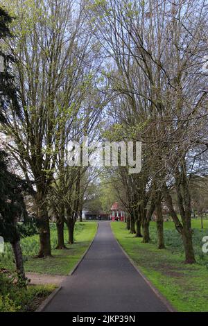 Eine vertikale Aufnahme von Bäumen mit Pfad im Volkspark Limerick City, Irland Stockfoto