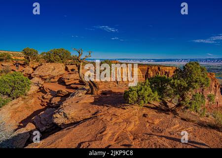 Ein wunderschöner Blick auf die Klippen und die rote Felslandschaft in diesem kleinen, bekannten Nationaldenkmal im Westen Colorados Stockfoto