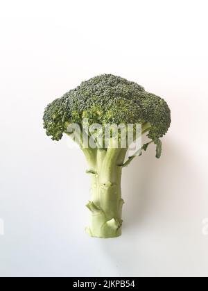 Eine vertikale Nahaufnahme von Brokkoli, Brassica oleracea vor dem weißen Hintergrund. Stockfoto