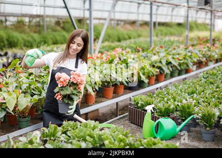 Junge Frau Floristin sprüht Wasser auf Zimmerpflanzen in Blumentöpfen durch Sprüher. Stockfoto