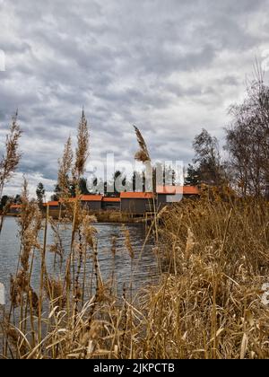 Eine herbstliche Landschaft durch das Schilf am See und die Häuser im Dorf Stockfoto