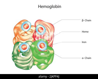 Hämumlockstruktur Stockfoto