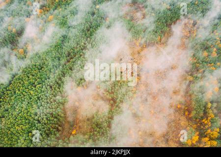 Luftaufnahme einer Holzfällungszone schneidet durch den Wald. Buschfeuer und -Rauch in der Entwaldungszone. Wildes offenes Feuer zerstört Gras. Die Natur in Gefahr Stockfoto