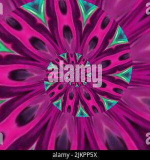 Symmetrisches Musterdesign Cryptanthus Bromeliads Zierpflanze mit leuchtend roten, blühenden Blättern. Kaleidoskop-Konzept-Design, nahtlose Muster Stockfoto