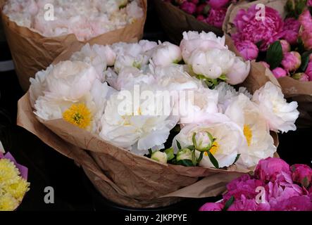 Schönes buntes Bouquet von Pfingstrosen in Kraftpapier im Blumenladen verpackt Stockfoto