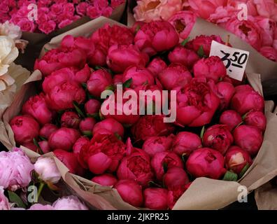 Schönes buntes Bouquet von Pfingstrosen in Kraftpapier im Blumenladen verpackt Stockfoto