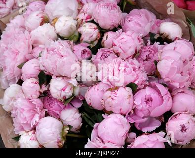 Schönes buntes Bouquet von Pfingstrosen in Kraftpapier im Blumenladen verpackt Stockfoto