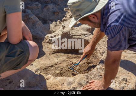 Yunatsite, Bulgarien - August 02 2022: Archäologen arbeiten an der Ausgrabungsstätte von Tell Yunatsite. Stockfoto