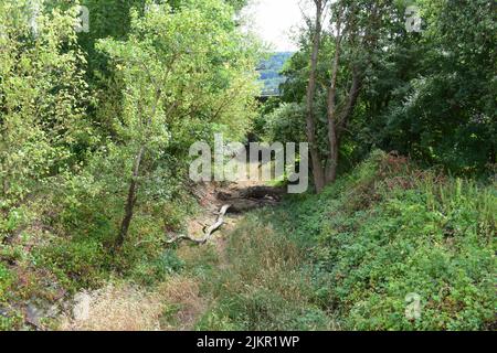 Trockener Seitenarm des Rheins, Altrhein Stockfoto