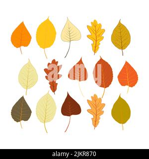 Setzen Sie helle bunte Herbstblatt isoliert auf weißem Hintergrund. Grafisches Design Herbst-Symbol. Rote orange gelbe trockene Herbstblätter. Herbstlaubsaison Stock Vektor
