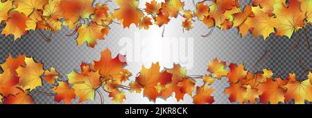 Bunte Ahornblätter. Nahtloses Muster helles Herbstlaub isoliert auf transparent. Grafisches Design Herbst-Symbol. Rot orange gelb trocken Herbst lev Stock Vektor