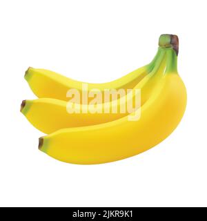 3D realistische Darstellung des Bananenvektors Stock Vektor