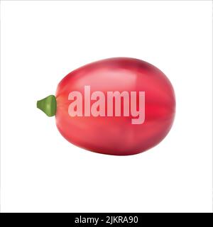 Realistische Traubenfrucht Vektor isoliert auf weißem Hintergrund, Paket-Design, Anzeigen-Design, Banner Stock Vektor