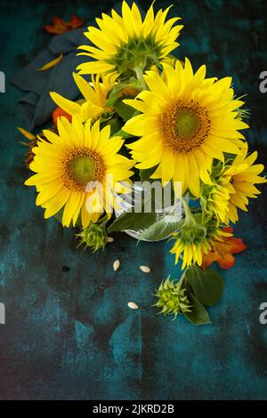 Kreatives Herbstdekor aus Sonnenblumen und Blättern auf blauem Hintergrund. Natur trendige Herbstkomposition. Stockfoto