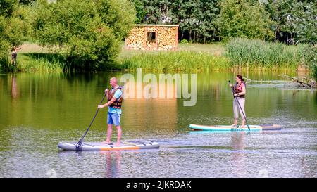 Mann und Frau auf Stehpaddeltafeln schweben auf dem Fluss Svisloch. Sommerferien Stockfoto