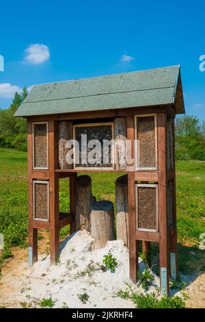 Insektenhotel in einer grünen Hecke bietet Schutz. Holzinsektenhaus Unterstand für wilde Insekten im Waldreservat Stockfoto