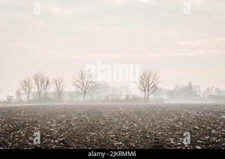 Ackerland im Winter. Ackerland und Winterkulturen in Serbien Stockfoto