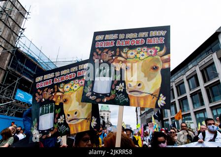 Vegane Aktivistin trinkt Mandelmilch Plakat auf Tierrechte märz, London 2021 Stockfoto