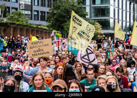 Frau in Menschenmenge von Protestierenden mit Plakat, auf dem die Tierlandwirtschaft als „Klimawandel“ und „Rebellion“-Flagge der Tiere bezeichnet wird, London 2021 Stockfoto