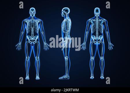 Akkurates Röntgenbild des menschlichen Skelettsystems mit erwachsenem männlichem Skelett und Körperkonturen auf blauem Hintergrund 3D Rendering Illustration. Anatomie, medizinisch Stockfoto