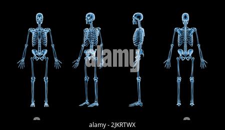 Akkurates Röntgenbild des menschlichen Skelettsystems mit dem erwachsenen männlichen Skelett isoliert auf schwarzem Hintergrund 3D Rendering Illustration. Anatomie, Medizin, Gesundheit Stockfoto