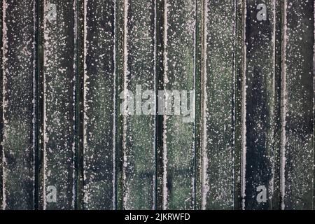 Alte Metalltextur in verblassten Grüntönen mit vertikalem Streifenmuster und rissiger und verwitterter Farbe. Abstrakter Hintergrund im Vintage-Stil Stockfoto