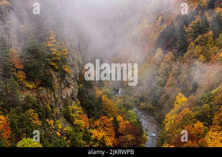 Italien Alta alpi Liguri Valle Tanaro Landschaft und Fluss Stockfoto