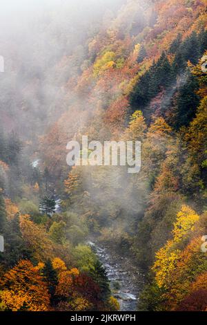 Italien Alta alpi Liguri Valle Tanaro Landschaft und Fluss Stockfoto