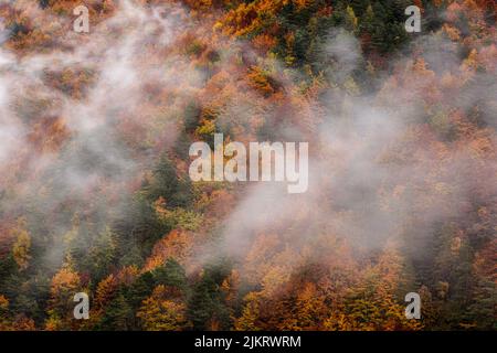 Italien Alta alpi Liguri Valle Tanaro Landschaft und Fluss Stockfoto