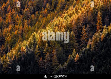 Italien Alta alpi Liguri Valle Tanaro Landschaft und Fluss Stockfoto