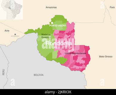 Brasilianischer Bundesstaat Rondonia Verwaltungskarte mit Gemeinden in den einzelnen Bundesstaaten (Mesoregionen) Stock Vektor