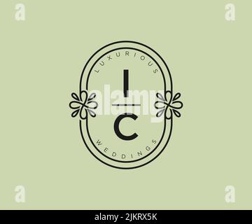 IC Initials Letter Hochzeit Monogramm Logos Vorlage, handgezeichnete moderne minimalistische und florale Vorlagen für Einladungskarten, Save the Date, elegant Stock Vektor